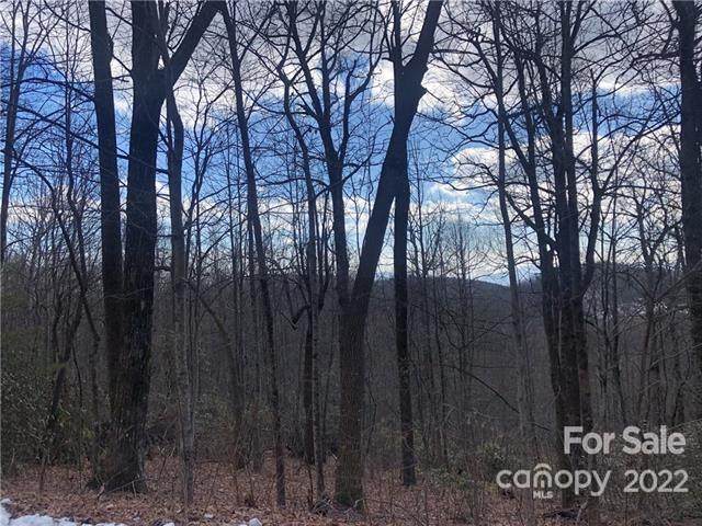 0000 Sugarloaf Mountain Road - Photo 1