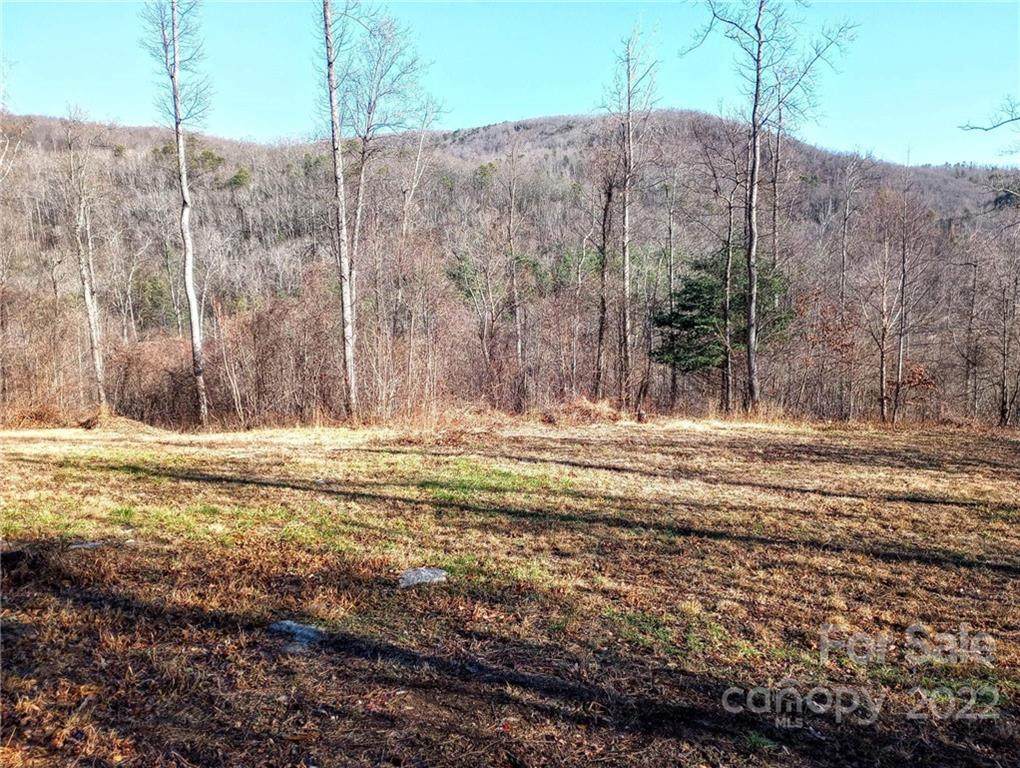 0000 Bearwallow Mountain Road - Photo 1