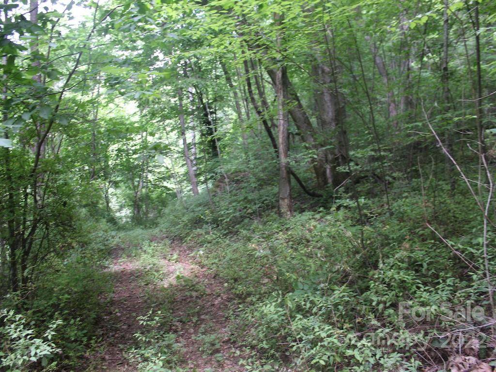 tbd Morgan Branch Road - Photo 1