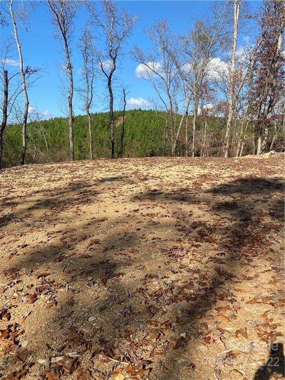 1522 Snuggs Park Road - Photo 1