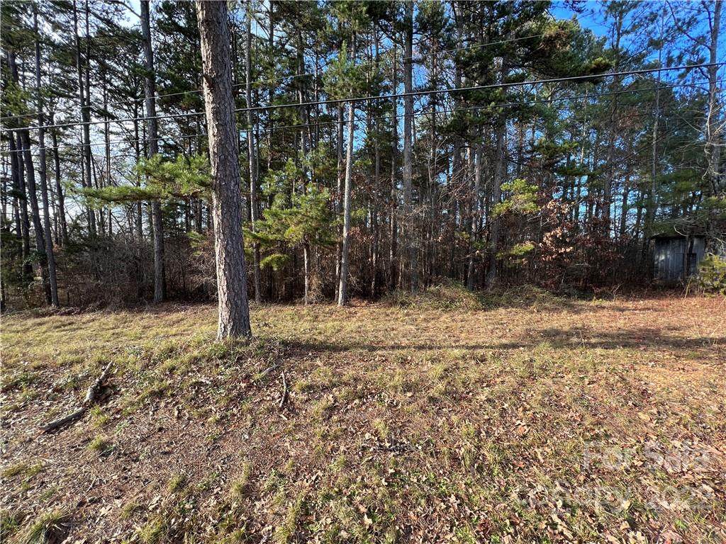 TBD Hatley Burris Road - Photo 1