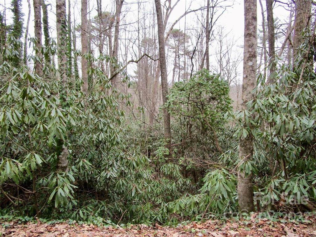 Lot #22 Toxaway Falls Drive - Photo 1