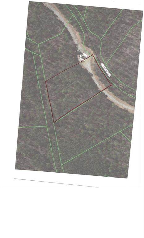 Lot 93 Riverbluff Lane - Photo 1