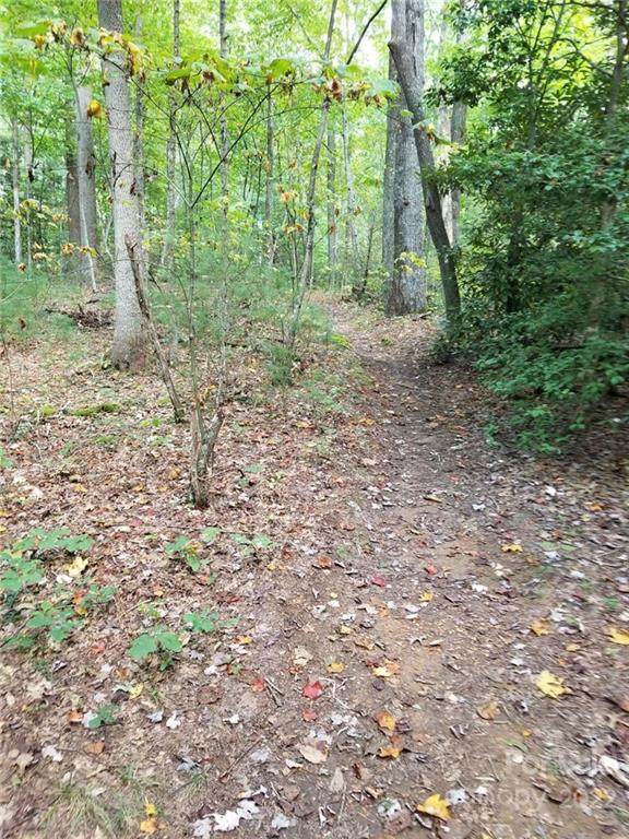 8976 Nc 208 Highway - Photo 1