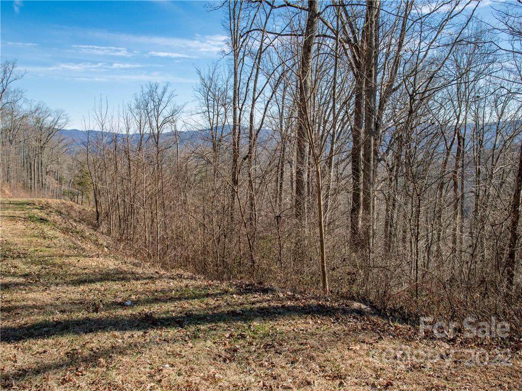 86 Old Forest Drive - Photo 1