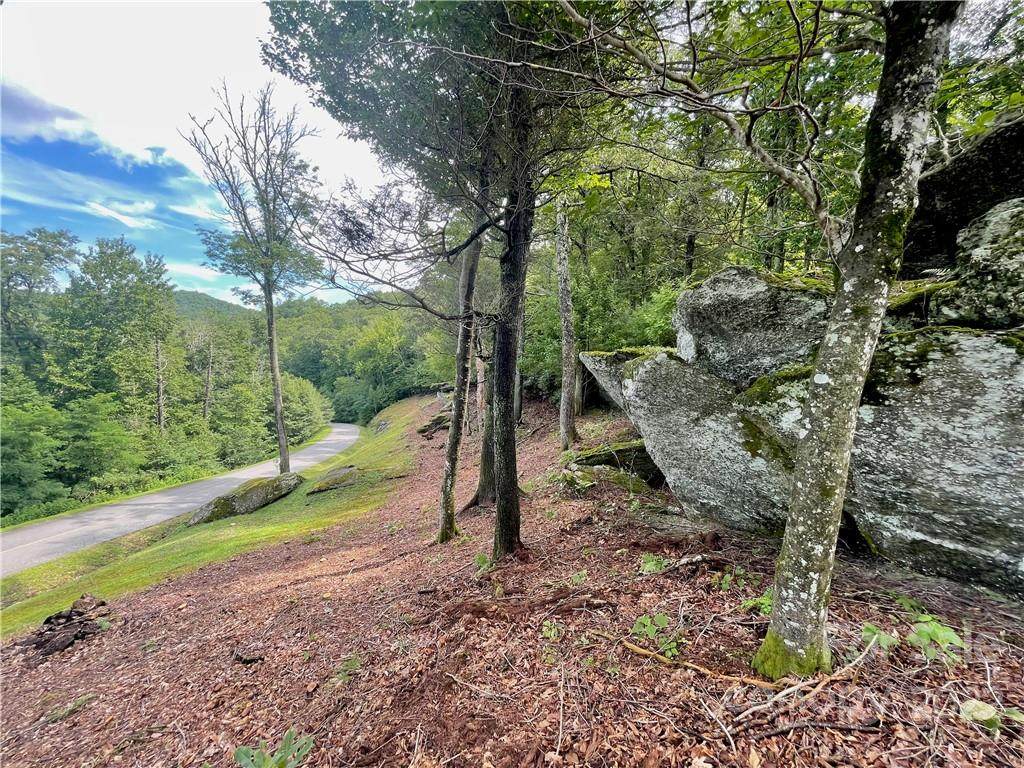 140 Firethorn Trail - Photo 1