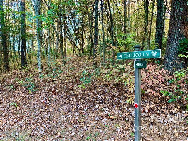 TBD Tellico Lane - Photo 1