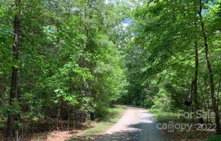 000 Dusty Trail Lane - Photo 1