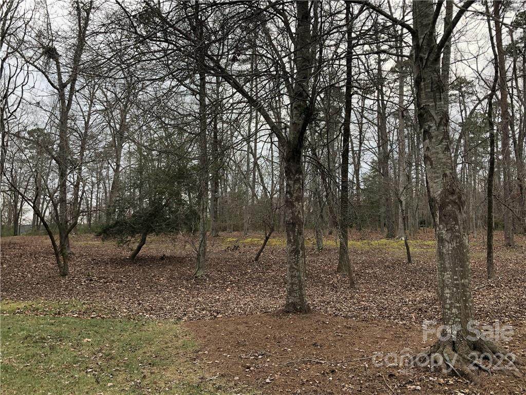 124 Freeman Hill - Photo 1