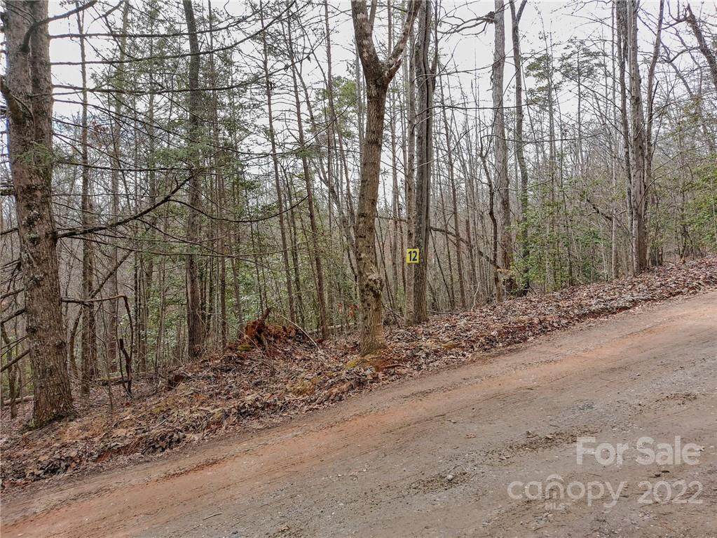 V/L Deer Crossing Drive - Photo 1