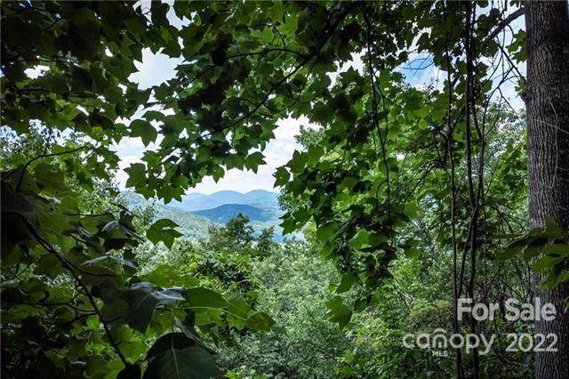 0000 Little Creek Road - Photo 1
