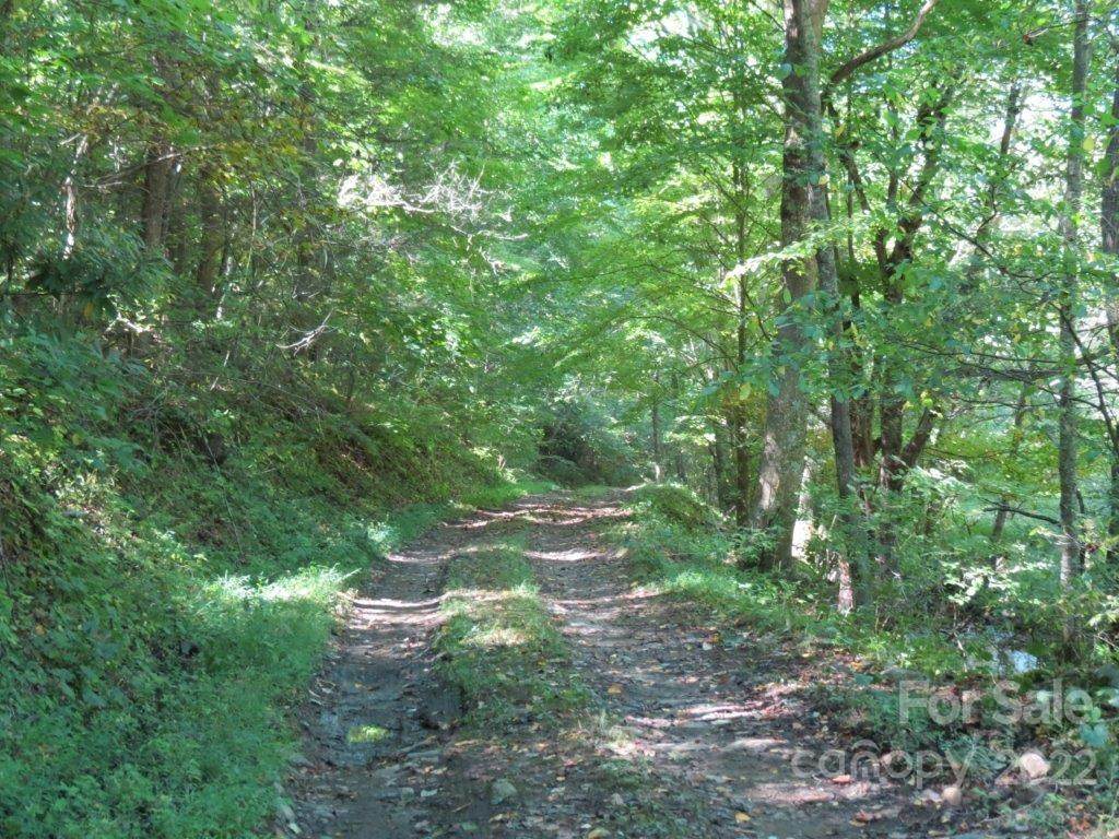 000 Hog Branch Road - Photo 1