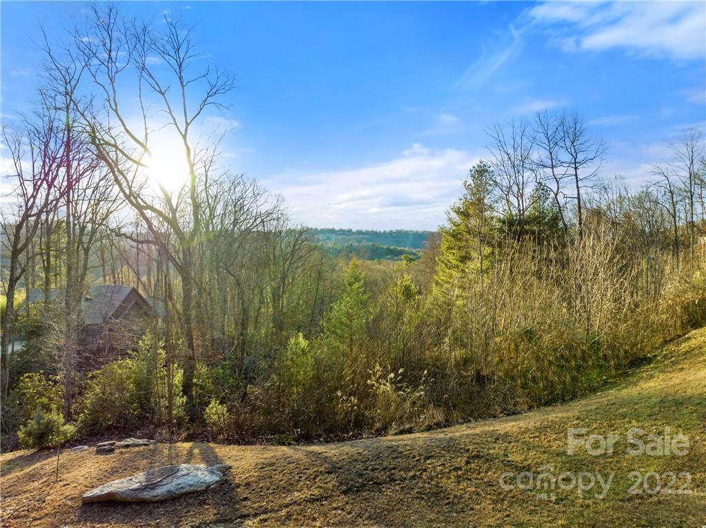 52 Lemongrass Trail - Photo 1