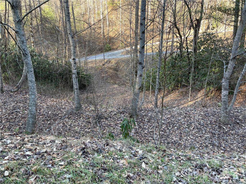 Lot 38 Brush Creek Mountain Road - Photo 1