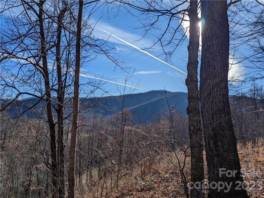 351 Kestrel Lane - Photo 1