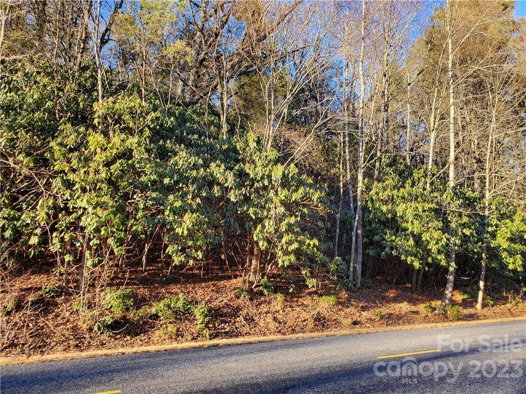 99999 Fairview Forest Drive - Photo 1
