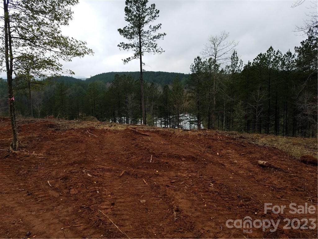 2108 Island View Lane - Photo 1