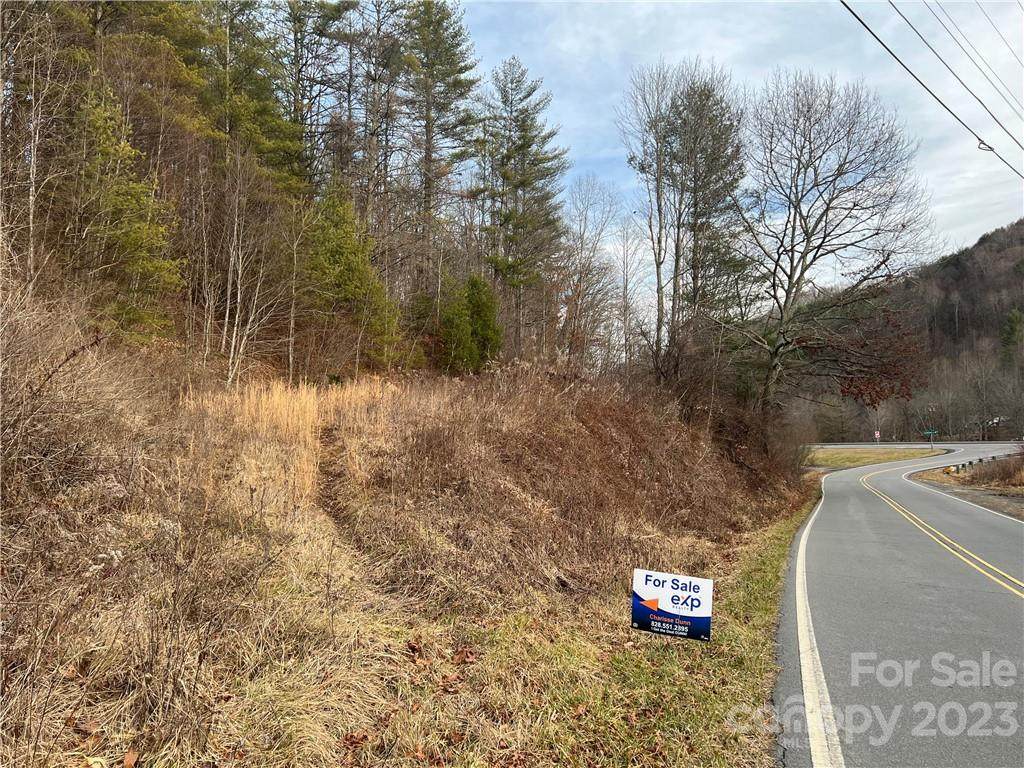 TBD Scronce Creek Road - Photo 1
