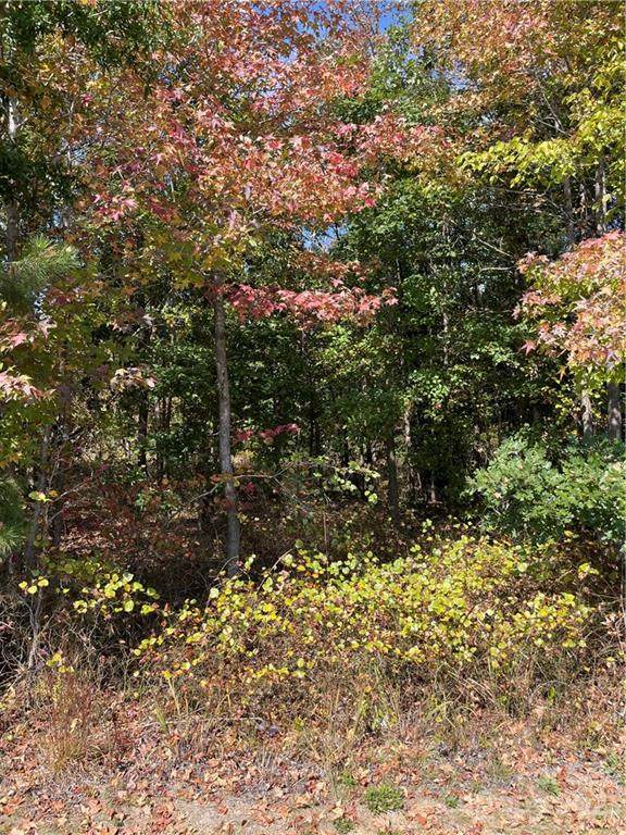 0 Chalk Maple Road - Photo 1