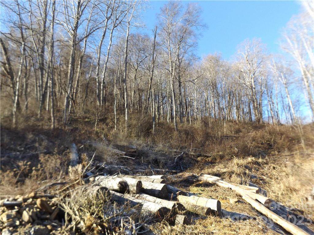 00 Kims Cove Road - Photo 1