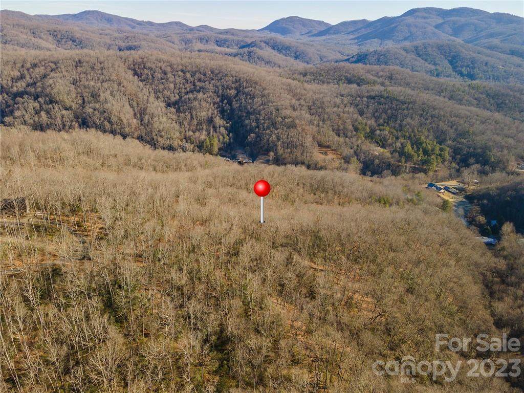 LOT 4B Lower Flat Creek Road - Photo 1