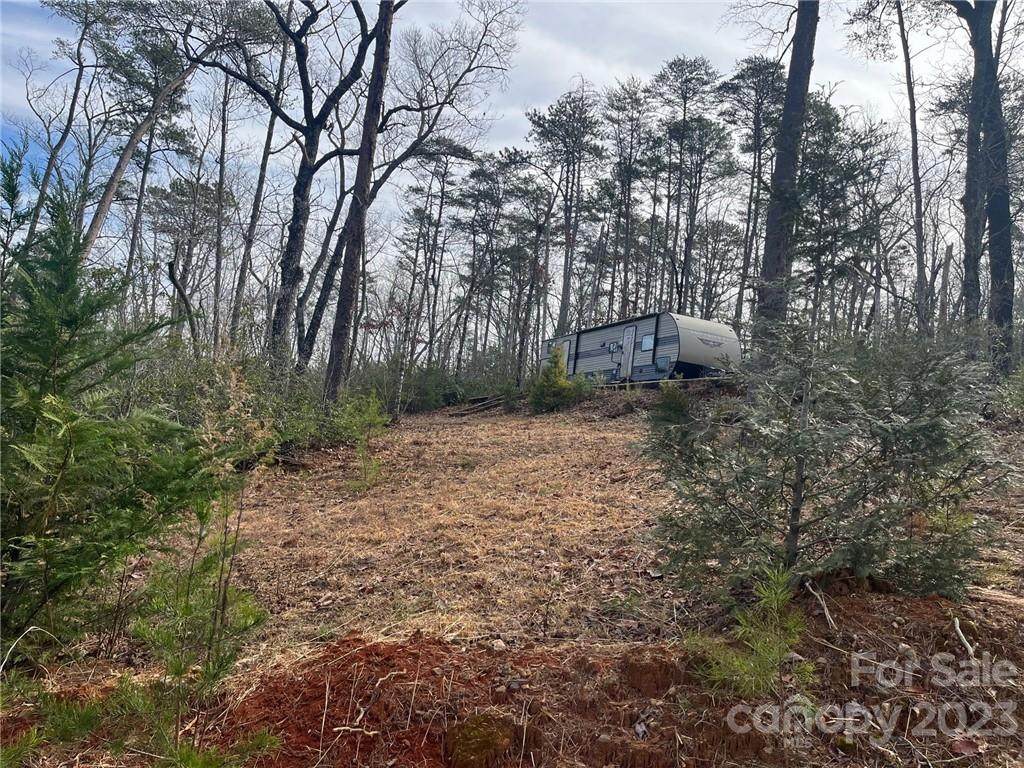 205 Wolf Trail - Photo 1