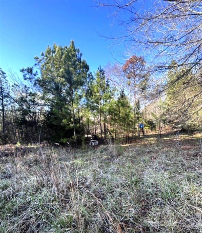 1248 Ridgeview Road - Photo 1