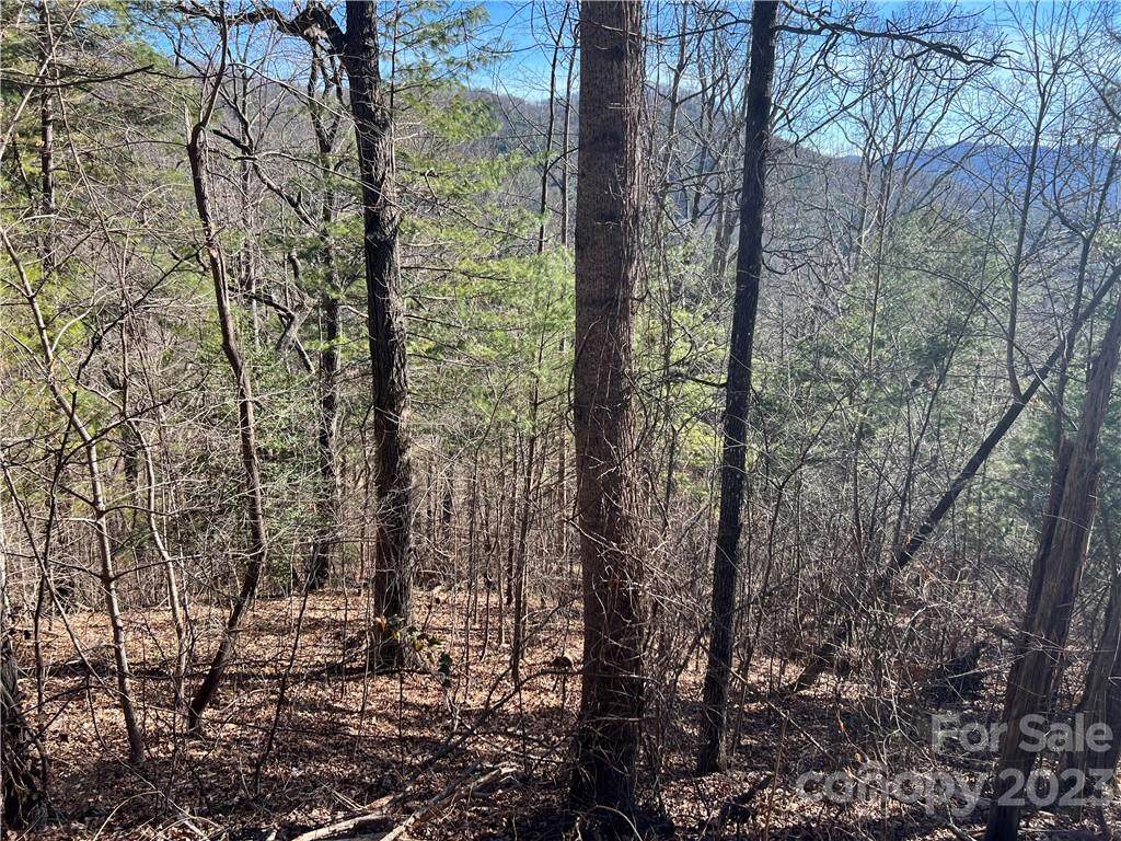 Lot 1 Vance Gap Road - Photo 1
