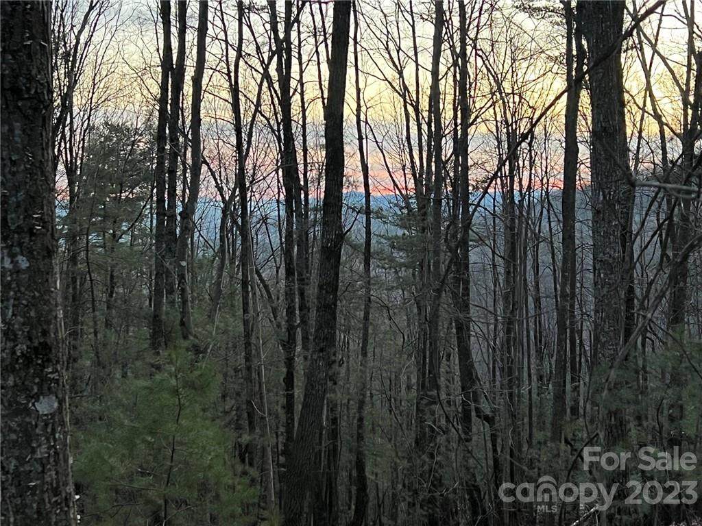 0 Taylorsville Road - Photo 1