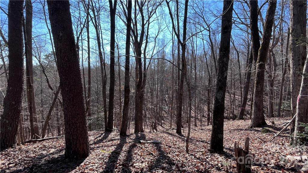 Lot 16 Wilkerson Court - Photo 1