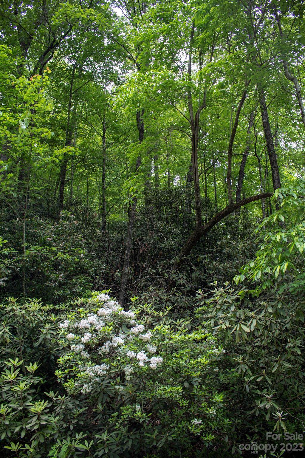 Lot 57&59 Fox Den Road - Photo 1