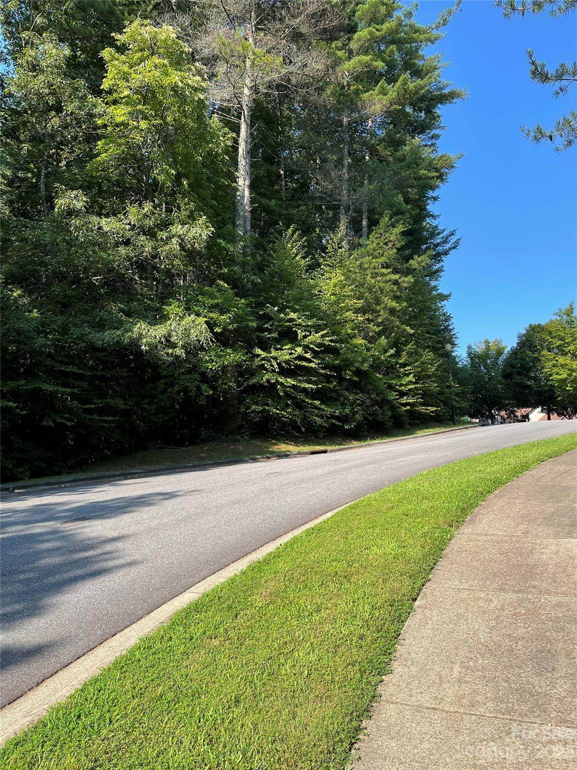 V48&49 Camptown Road - Photo 1