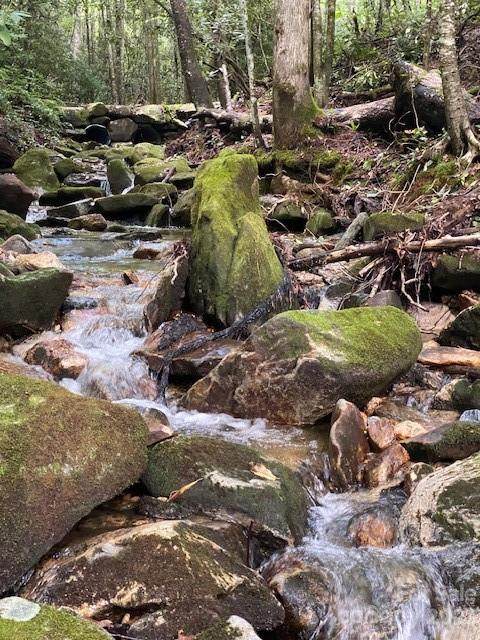 619 Speckled Feather Pass - Photo 1