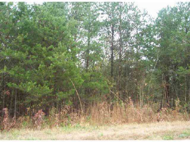 Lot 2 Petes Road - Photo 1