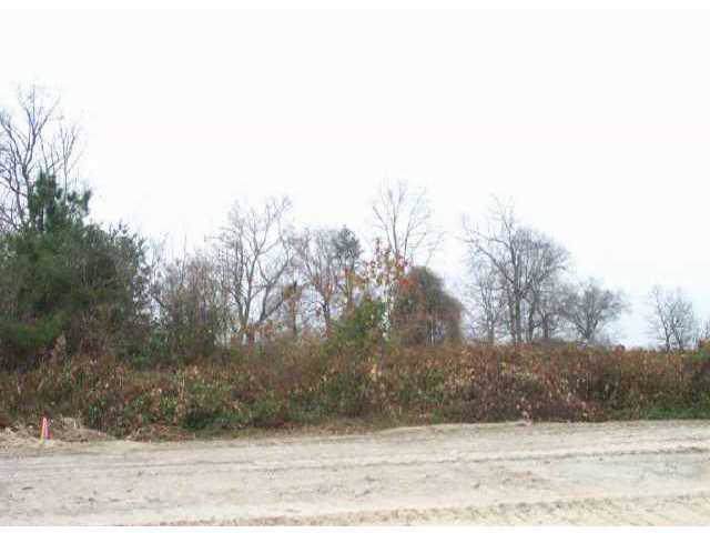 Lot 3 Petes Road - Photo 1
