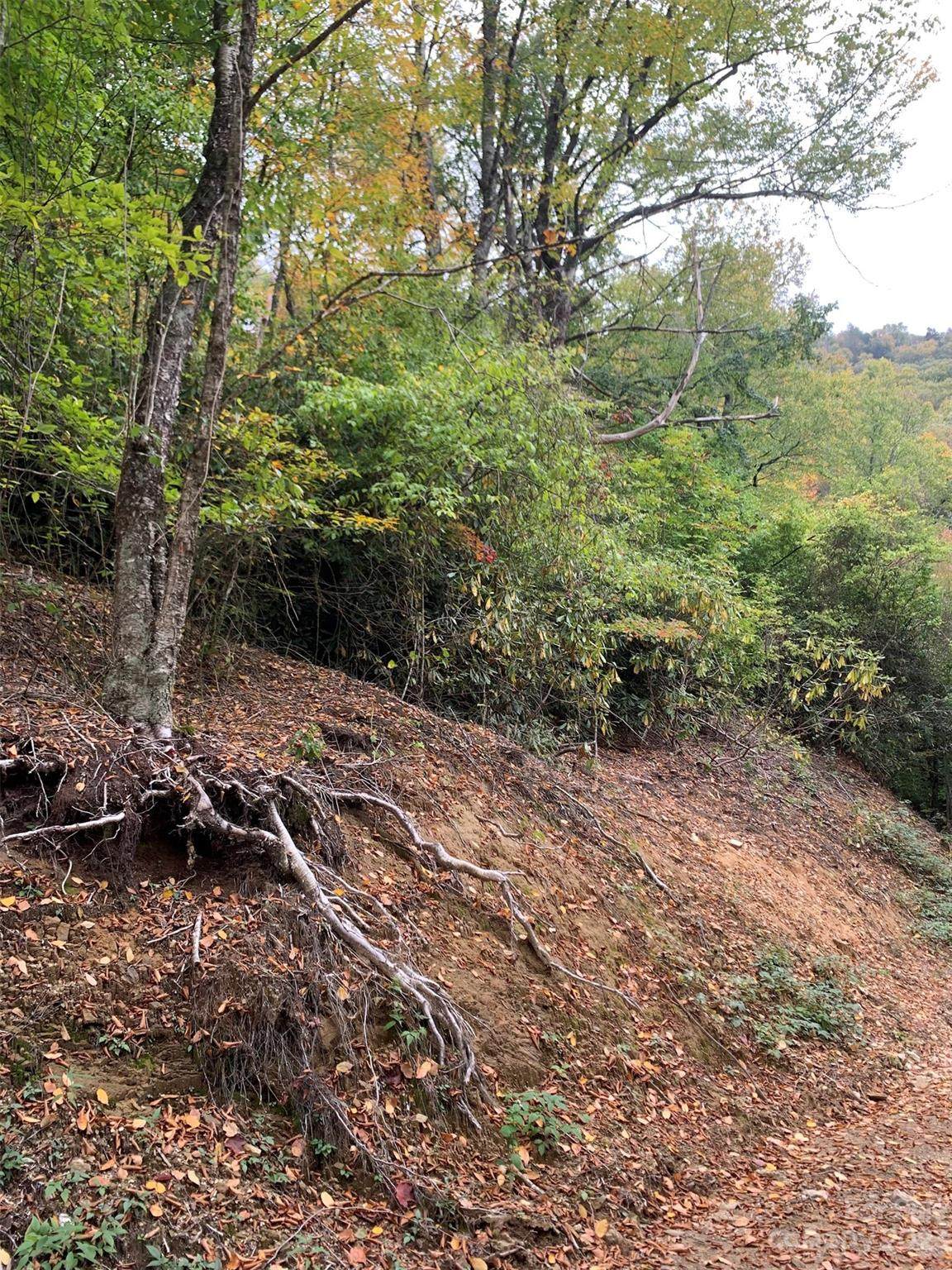 99999 Plott Balsam Road - Photo 1