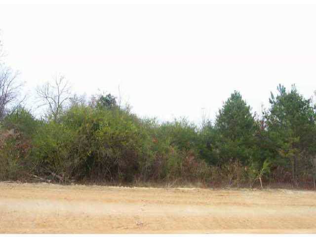 Lot 4 Petes Road - Photo 1