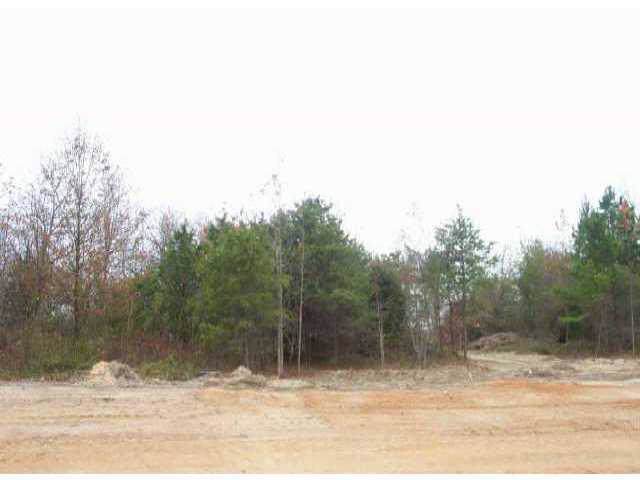 Lot 5 Petes Road - Photo 1