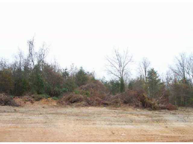 Lot 6 Petes Road - Photo 1