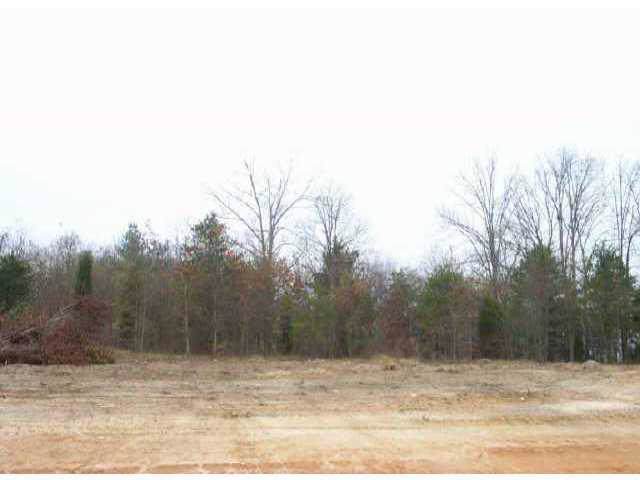 Lot 7 Petes Road - Photo 1