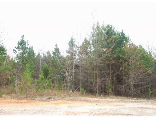 Lot 9 Petes Road - Photo 1