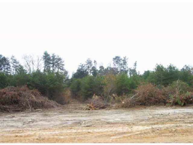 Lot 12 Petes Road - Photo 1