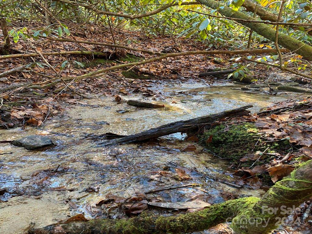 L41 Abby Falls Road - Photo 1