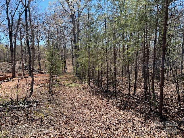 0 Walkaloosa Way - Photo 1