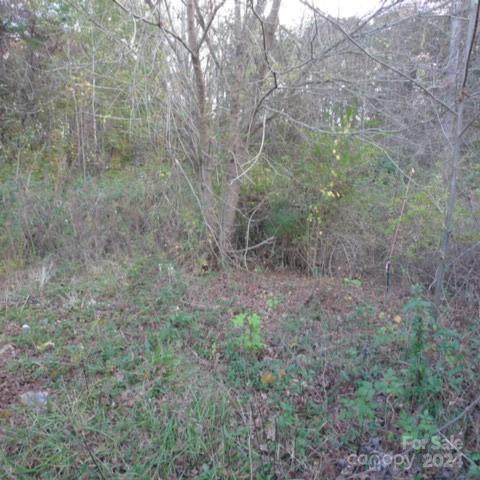 187 Caravan Lane - Photo 1
