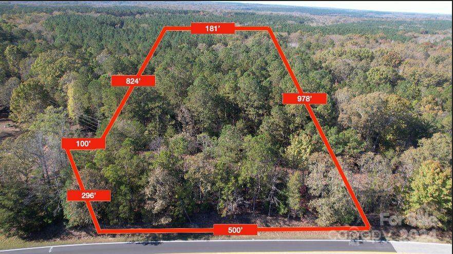 000 Van Wyck Lancaster Road - Photo 1