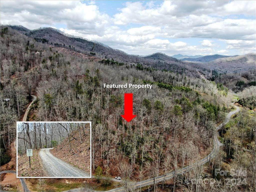 TBD Big Oak Springs Road - Photo 1