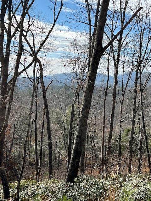 00 Orchard View Trail - Photo 1