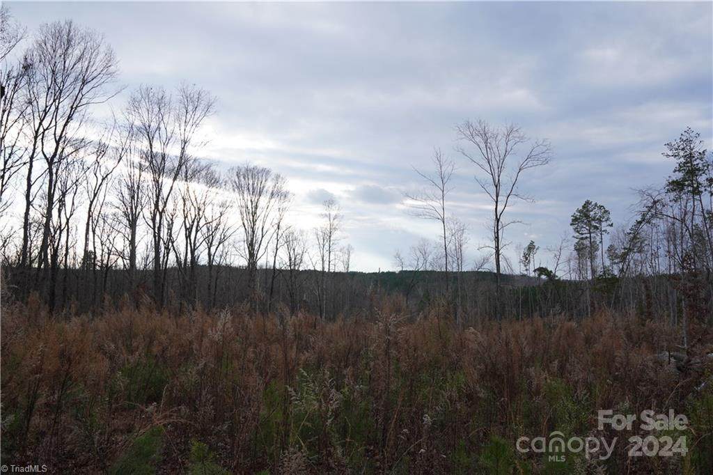 000 Lou Cranford Road - Photo 1