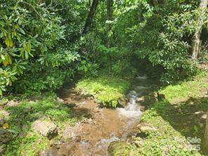 9 Red Leafe Trail - Photo 1